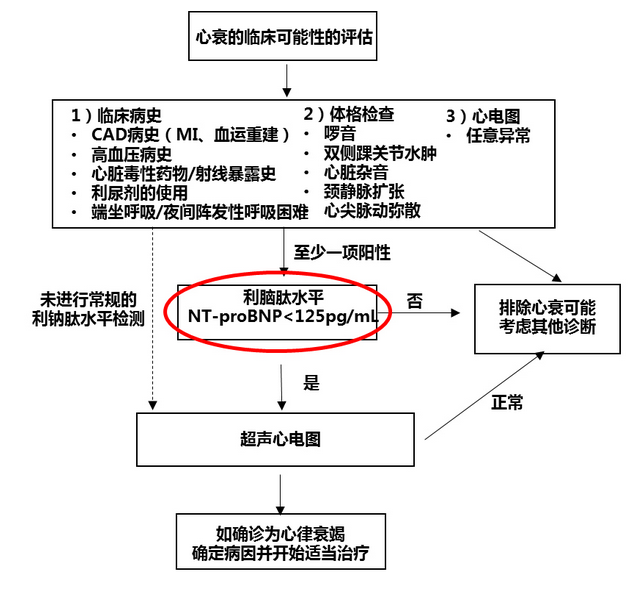 慢性心衰的诊断流程